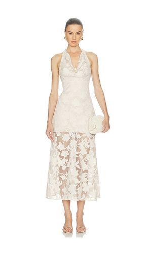 KLEID CALYPSO in . Größe 0. Also in 2, 4, 6, 8 - AMUR - Modalova