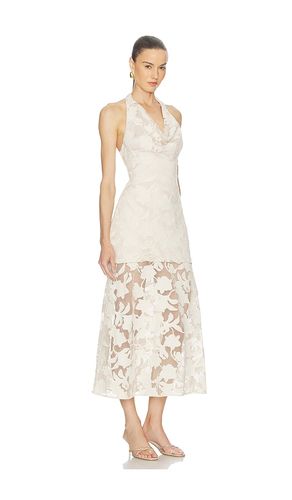 KLEID CALYPSO in . Größe 0. Also in 10, 12, 2, 4, 6, 8 - AMUR - Modalova