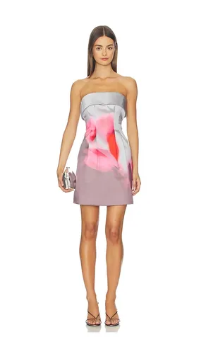 Zelie Mini Dress in Grey. - size 0 (also in 6) - AMUR - Modalova