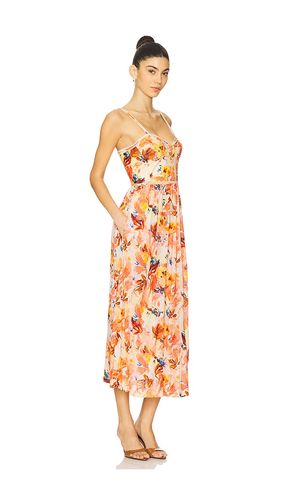 MIDI-KLEID ELIZA in . Größe 6. Also in 8 - Ulla Johnson - Modalova