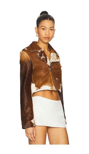 X REVOLVE Cowhide Moto Jacket in Brown. - size S (also in XS) - Understated Leather - Modalova