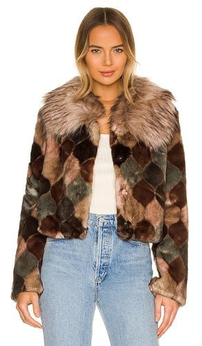 Casablanca Faux Fur Jacket in Brown. - size L (also in M, S, XL, XS) - Unreal Fur - Modalova