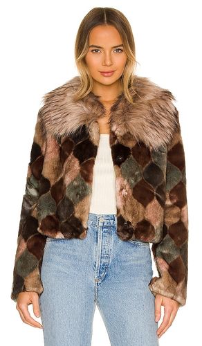 Casablanca Faux Fur Jacket in Brown. - size S (also in XS) - Unreal Fur - Modalova