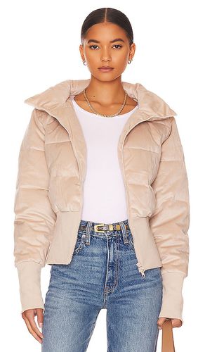 New Amsterdam Jacket in . - size L (also in M, S, XS) - Unreal Fur - Modalova