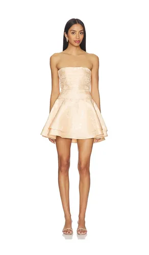 KLEID ELLERIE in . Größe 10. Also in 12, 4, 6, 8 - V. Chapman - Modalova