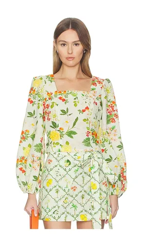 OBERTEIL SQUARE NECK in ,. Größe S. Also in XS, L, XL - Verandah - Modalova