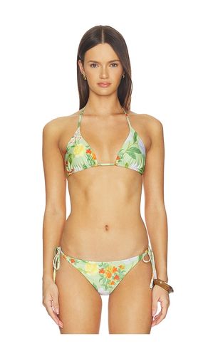 Triangle Bikini Top in Sage. - size L (also in M, XL, XS) - Verandah - Modalova