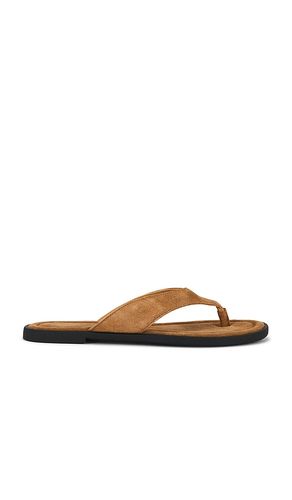 SANDALE ZAIDA SUEDE in . Größe 37. Also in 38, 41 - Vagabond Shoemakers - Modalova