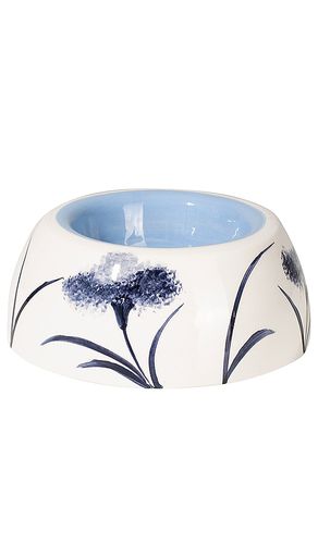 Love Of My Life Pet Bowl in Navy - Vaisselle - Modalova