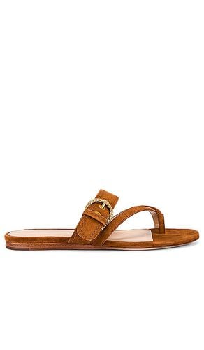 Salva 3 in Brown. - size 5.5 (also in 6, 6.5, 7, 7.5, 8, 9.5) - Veronica Beard - Modalova