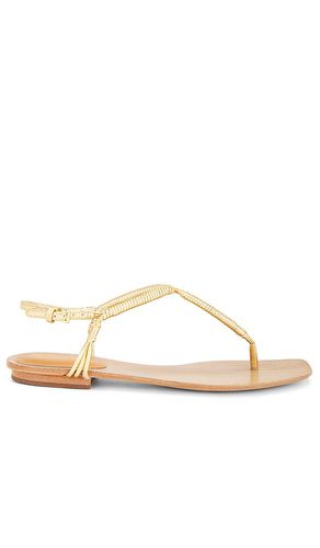 Zapato plano amelia en color oro metálico talla 10 en - Metallic Gold. Talla 10 (también en 6, 6.5, 7, 8, 8.5) - Veronica Beard - Modalova