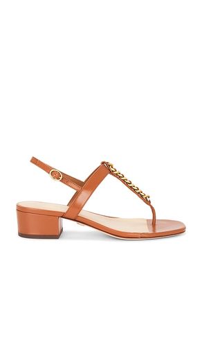 Andie Heel in Brown. - size 5.5 (also in 6, 6.5, 7, 7.5, 8, 8.5, 9, 9.5) - Veronica Beard - Modalova