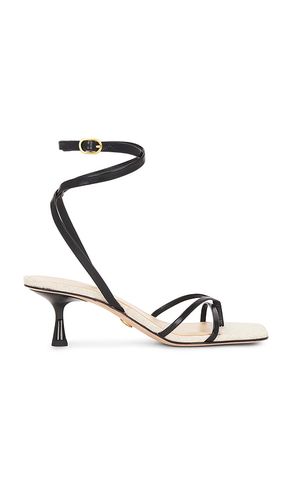 Caterina Heel in . - size 5.5 (also in 6, 6.5, 7, 7.5, 8) - Veronica Beard - Modalova