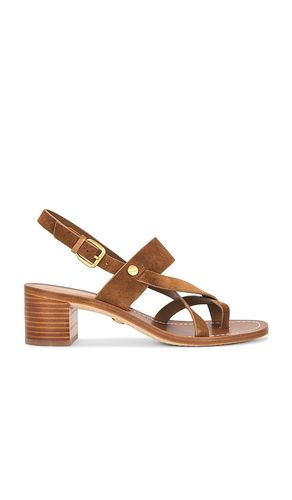 Elodie Heel in Brown. - size 5.5 (also in 6, 6.5, 7, 7.5, 8, 8.5) - Veronica Beard - Modalova