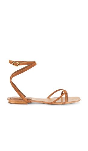 Allegra Sandal in Brown. - size 5.5 (also in 6, 6.5, 7, 7.5, 8, 8.5, 9, 9.5) - Veronica Beard - Modalova