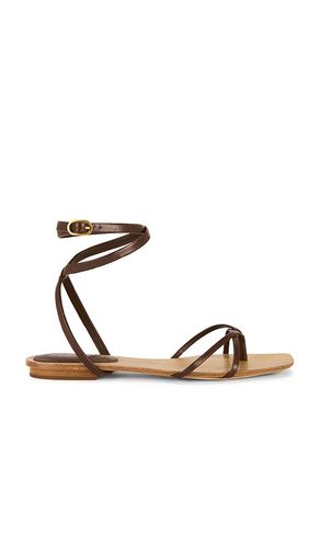 Allegra Sandal in Brown. - size 10 (also in 5.5, 6, 6.5, 7, 7.5, 8, 8.5, 9, 9.5) - Veronica Beard - Modalova