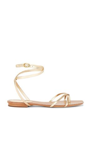 Allegra Sandal in Metallic Gold. - size 5.5 (also in 6, 6.5, 7, 7.5, 8, 8.5, 9) - Veronica Beard - Modalova