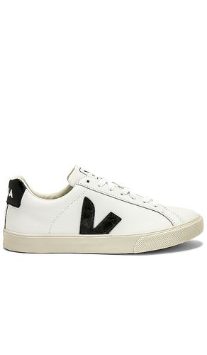 Esplar Sneaker in . - size 35 (also in 36, 37, 38, 39, 40, 41) - Veja - Modalova