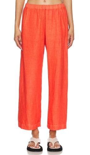 Lola Pant in Burnt Orange. - size L (also in M, S, XL, XS) - Velvet by Graham & Spencer - Modalova