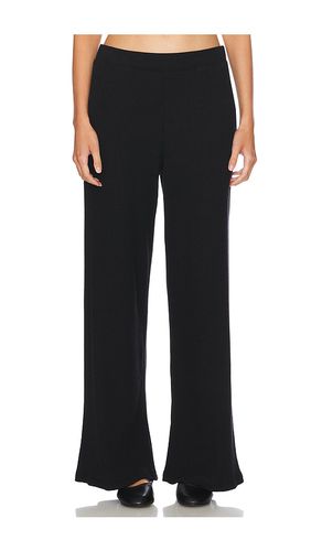 Colleen Pant in . - size L (also in M, S, XL, XS) - Velvet by Graham & Spencer - Modalova