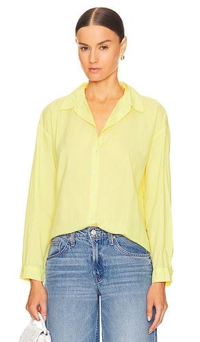 Devyn Button Up Shirt in Yellow. - size L (also in M, S, XL, XS) - Velvet by Graham & Spencer - Modalova