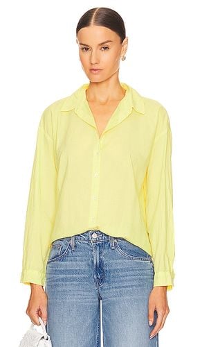 Devyn Button Up Shirt in Yellow. - size L (also in M, XL) - Velvet by Graham & Spencer - Modalova