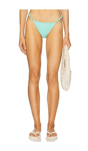 Sole Bikini Bottom in . - size 1X (also in 3X, 4X, L, XL) - villa fresca - Modalova