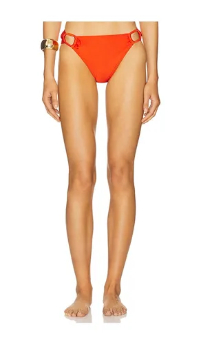 Bianca Bikini Bottom in Orange. - size 3X (also in 4X, M, XL) - villa fresca - Modalova