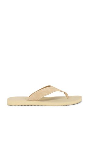 SANDALE FIJI in . Größe 11. Also in 12, 8, 9 - Vince - Modalova