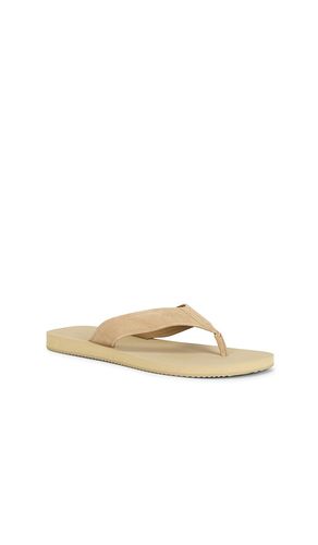 SANDALE FIJI in . Größe 8. Also in 9, 11, 12 - Vince - Modalova