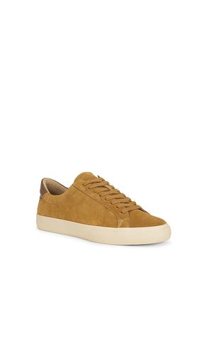 SNEAKERS FULTON in . Größe 8. Also in 9, 10, 11, 12, 13 - Vince - Modalova