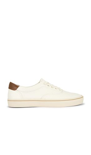 SNEAKERS SEASIDE in . Größe 10. Also in 11, 8, 9 - Vince - Modalova