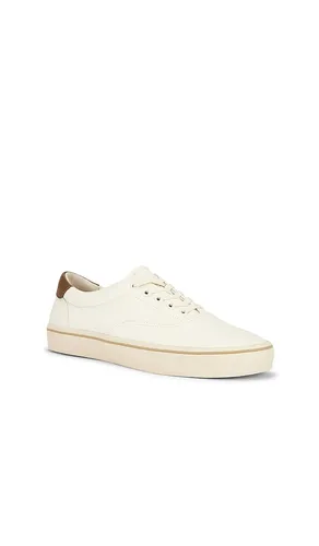 SNEAKERS SEASIDE in . Größe 10. Also in 11, 13, 8, 9 - Vince - Modalova