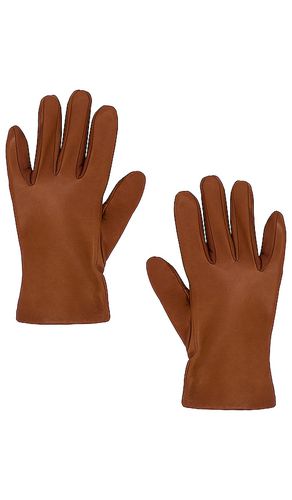 Short Classic Napa Glove in Brown. - size L (also in M, S, XL) - Vince - Modalova