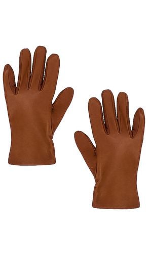 Short Classic Napa Glove in Brown. - size L (also in S, XL) - Vince - Modalova