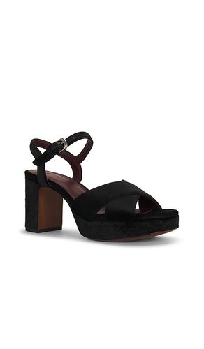 Ericka Platform Sandal in . - size 6 (also in 7, 8, 9, 10) - Vince - Modalova