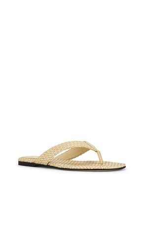 SANDALE LOTUS in . Größe 7. Also in 7.5, 8.5 - Vince - Modalova