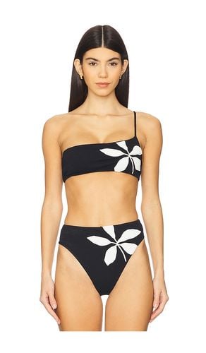 Susan Ana Bikini Top in Black. - size L (also in M, S, XL) - Vix Swimwear - Modalova