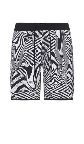 Infuse Scallop Swim Trunks in . - size 32 (also in 34, 36) - Volcom - Modalova