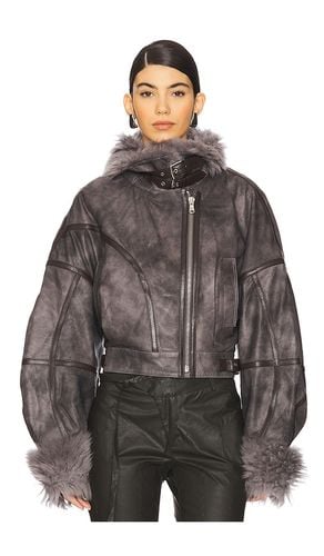 Signature Aviator Jacket in Grey. - size 36 (also in 38, 40) - Vaillant - Modalova