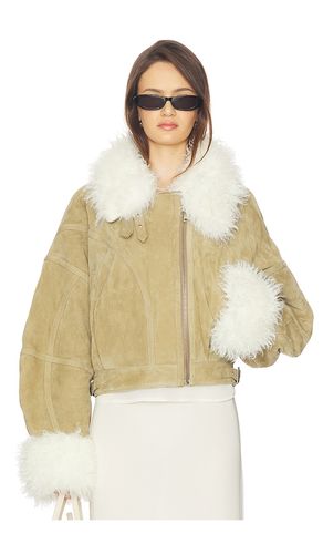 LEDERJACKE AVIATOR in . Größe 36. Also in 40 - Vaillant - Modalova