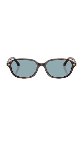 VERSACE Oval Sunglasses in Brown - VERSACE - Modalova