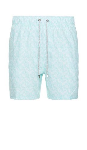 Way Stretch Volleys Swim Short in Blue. - size S (also in XL/1X) - Vintage Summer - Modalova