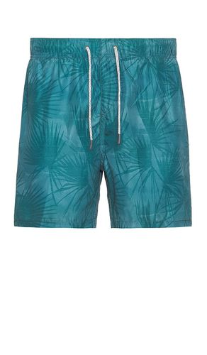 Ponji Swim Volleys Short in . - size M (also in L, S, XXL/2X) - Vintage Summer - Modalova