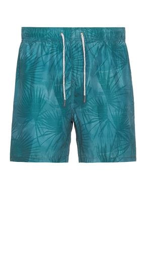 Ponji Swim Volleys Short in . - size S (also in L, XXL/2X) - Vintage Summer - Modalova