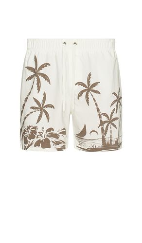 Poolside Stretch Shorts in . - size L (also in S, XL/1X, XXL/2X) - Vintage Summer - Modalova