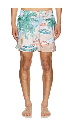 Ponji Swim Volleys in . Größe S. Also in XXL/2X - Vintage Summer - Modalova