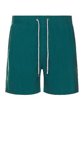 Vintage Wash Volleys Swim Short in . - size XL/1X (also in XXL/2X) - Vintage Summer - Modalova