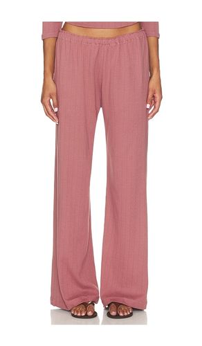 POINTELLE-HOSE HILDA in . Größe L. Also in M, S, XS - VIR VITA - Modalova