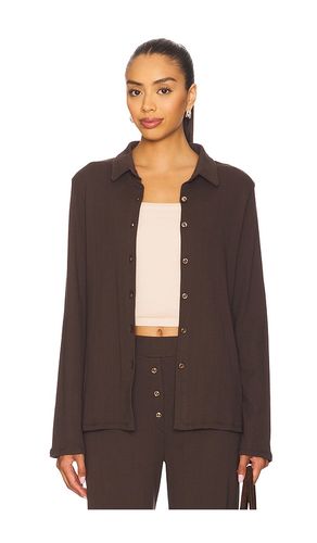 Eloise Pointelle Shirt in Brown. - size L (also in M, S, XS) - VIR VITA - Modalova